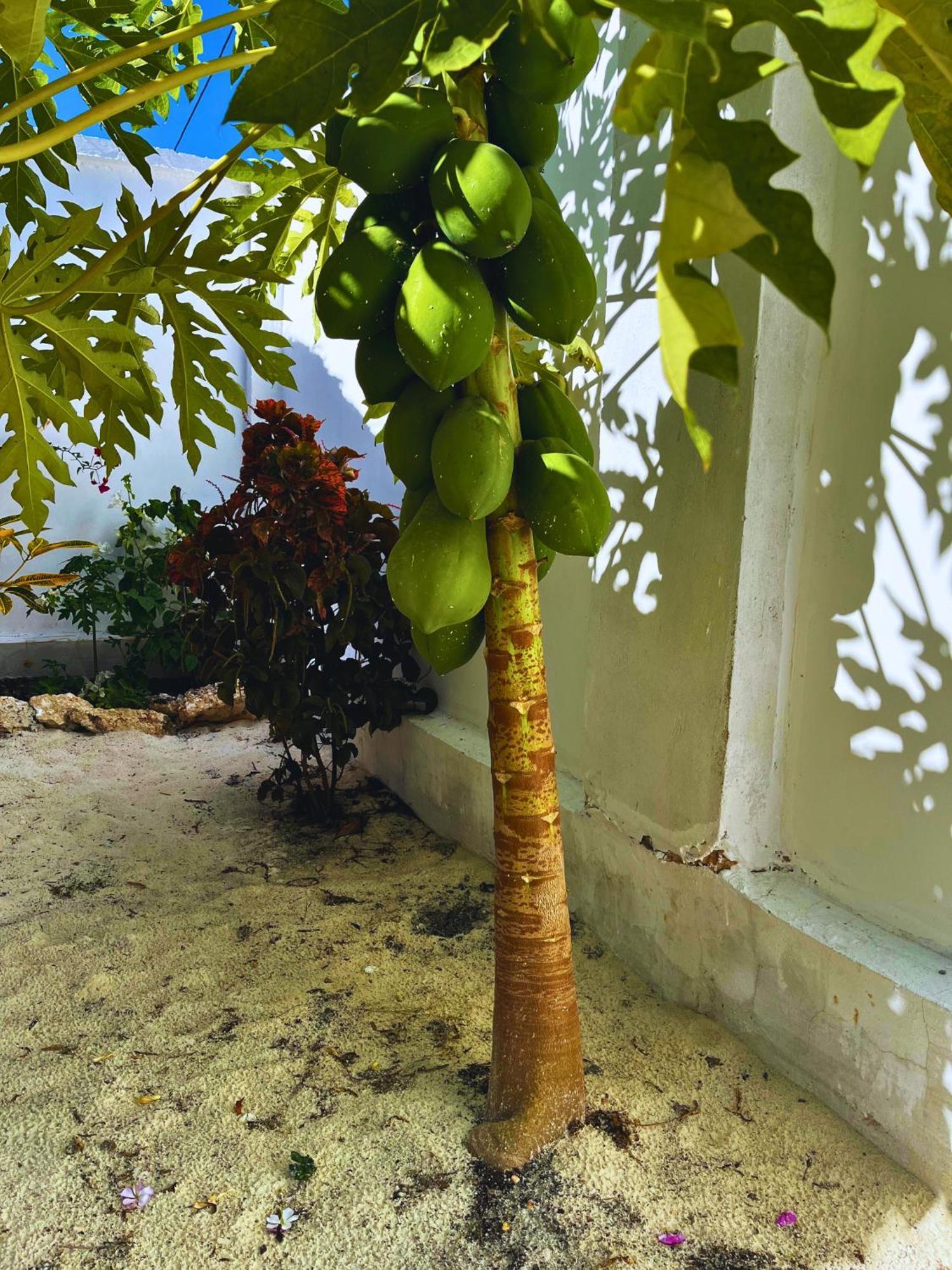 Sabali Lodge, Zanzibar جامبياني المظهر الخارجي الصورة